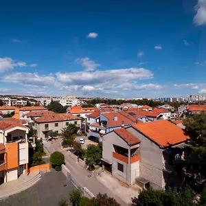Gal , Zadar Chorwacja